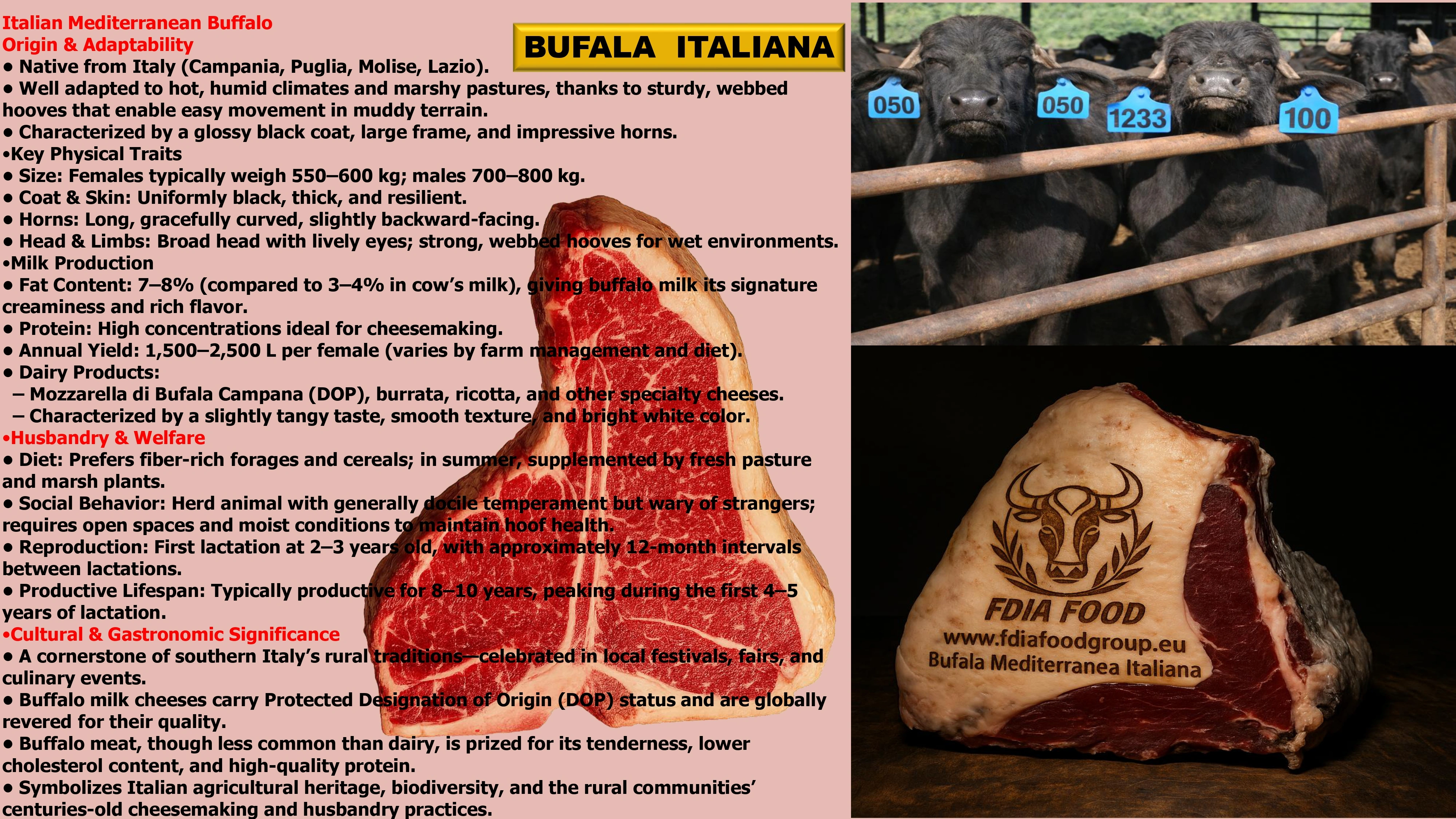meat (11)
